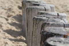 Buhnen am Strand