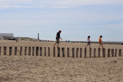 Auf den Buhnen am Strand