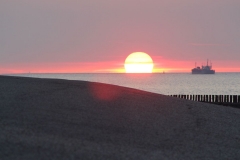 Sonnenuntergang über der Scheldemündung