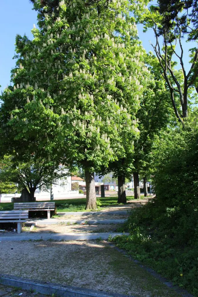 Schattiges Plätzchen mit schöner Aussicht auf Stuttgart