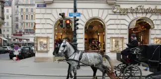 Auch so kann Einkaufen sein: Fiaker vor der Kärtnerstr. in Wien