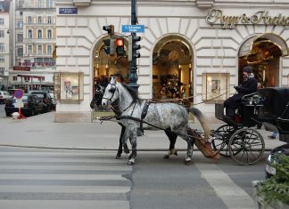 Auch so kann Einkaufen sein: Fiaker vor der Kärtnerstr. in Wien