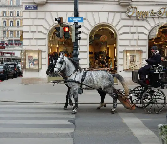 Auch so kann Einkaufen sein: Fiaker vor der Kärtnerstr. in Wien