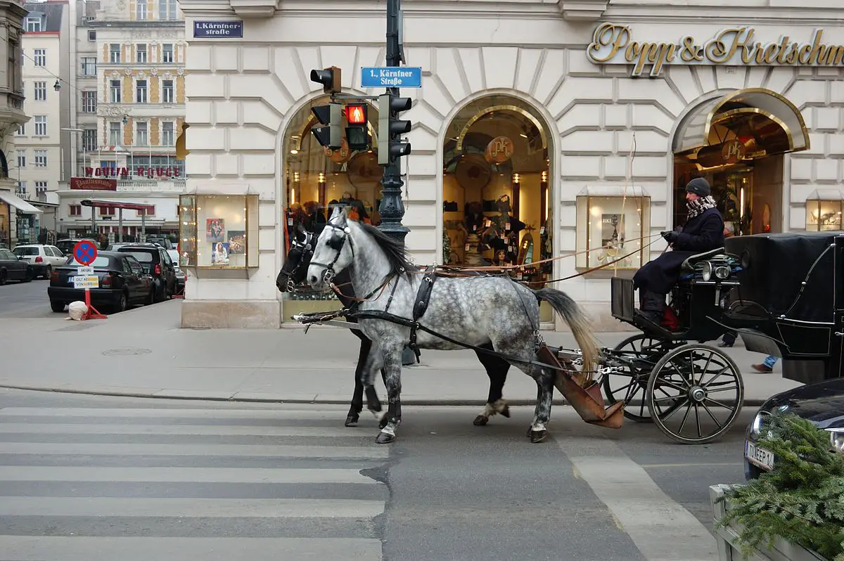 Auch so kann Einkaufen sein: Fiaker vor der Kärtnerstr. in Wien