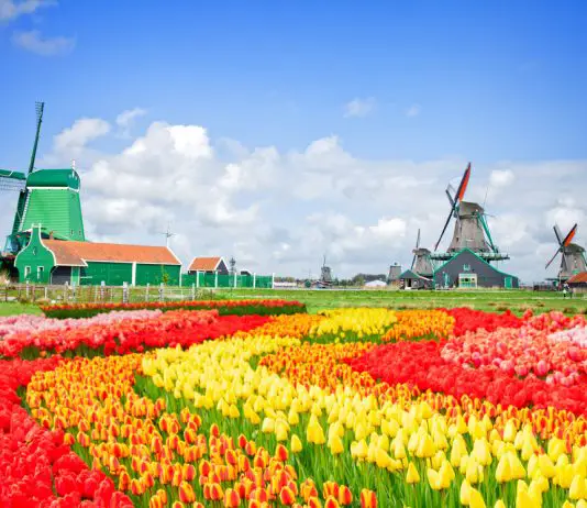Kurztrip nach Holland