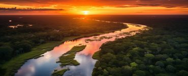 Sehenswürdigkeiten in den Everglades