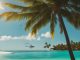 wie lange fliegt man zu den bahamas