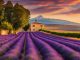 Sehenswürdigkeiten in der Provence