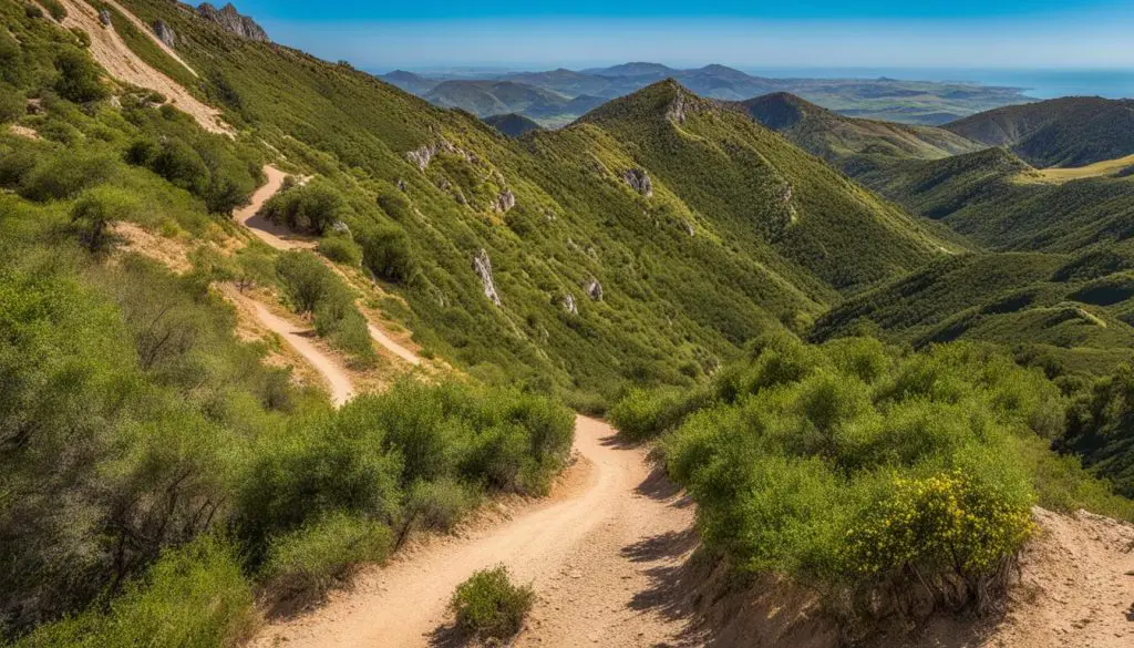 Wanderung zum Picota Gipfel