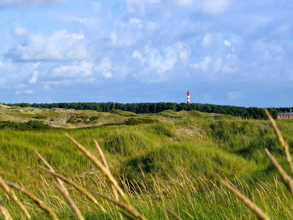 Nordsee3